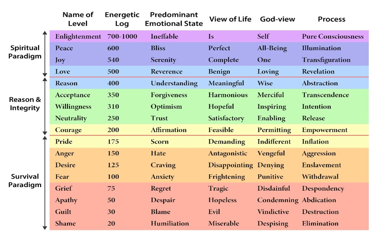 Scale of consciousness