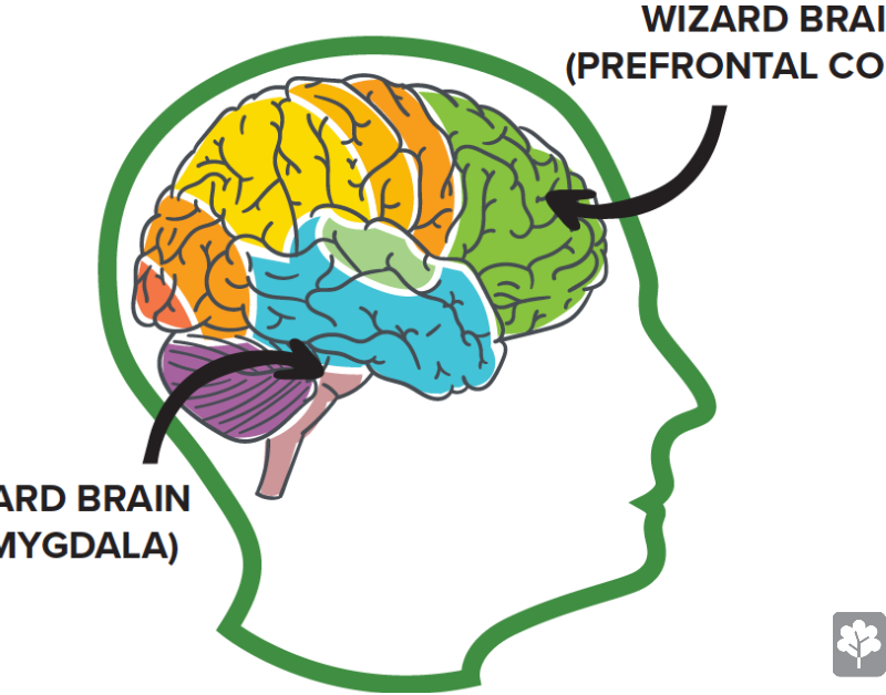 Neurocopy